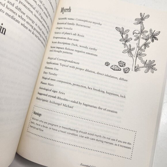 Blackthorn'S Botanical Magi The Green Witch's Guide to Healing Amy Blackthorn - Picture 9 of 9